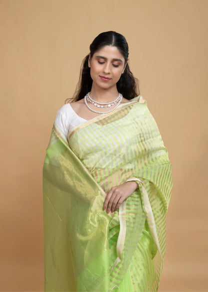 Green And Golden Stripe Maheshwari Saree
